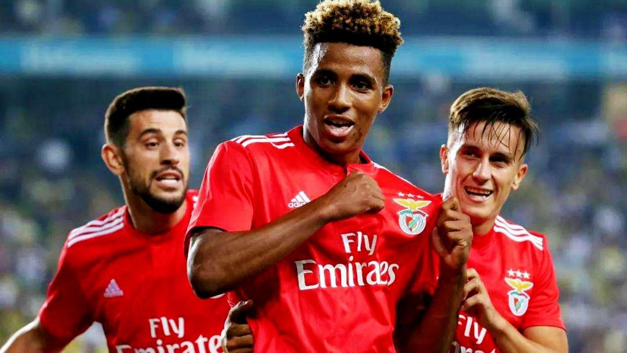 行星搅拌机的适用范围